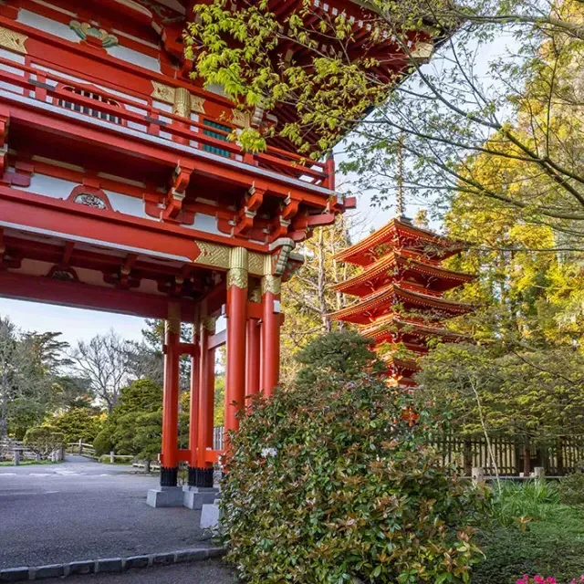 Templo del jardín de té japonés